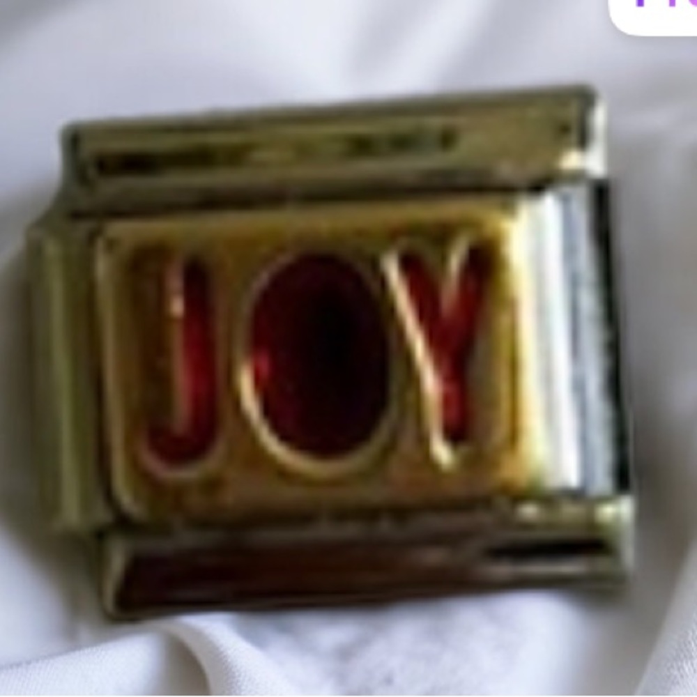 ZOPPINI (nomination) 2/$25 JOY bracelet link
